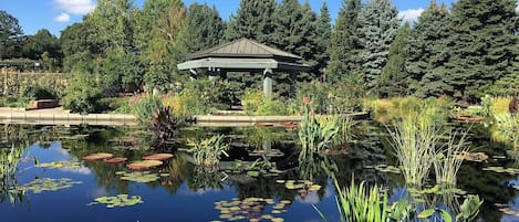 Jardines del alojamiento