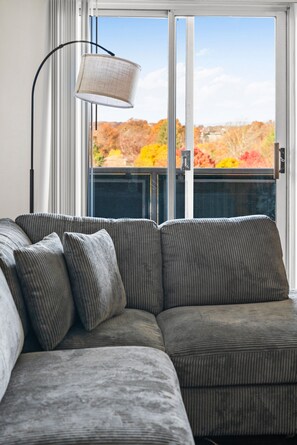 Interior - Furnished Apartment Near Longwood  (Brookline)