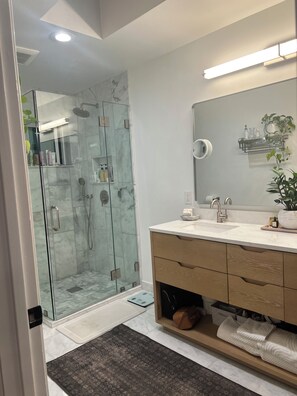 Shower, hair dryer, towels, soap - Feeling of resort living, 4 x 3 house in serene San Rafael, close to everything! (San Rafael)