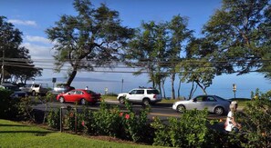 Property grounds - CELEBRATE CHRISTMAS & NEW YEARS at the KAMAOLE BEACH CLUB in MAUI (Kihei)