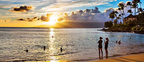 A beach scene with a sunset, palm trees, and people in the water.