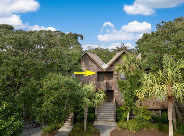 A house surrounded by dense greenery, with a staircase leading to the entrance.