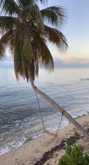 Beach - La Iguana Morada: A/C, WiFi, BioBay, walk to Ferry (Vieques)