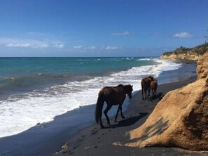 Praia