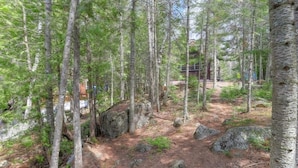 Une zone boisée avec un chalet et un sentier de terre.