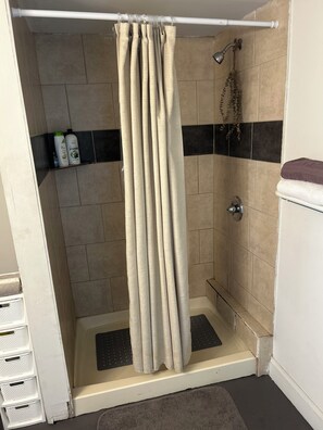 Shower, towels, soap, toilet paper - Detroit Studio Loft Cozc Private Entry (Detroit)