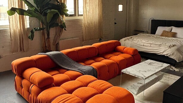 A modern living room with a sectional sofa, a large potted plant, and a bed with a headboard. - Detroit Studio Loft Cozc Private Entry (Detroit)