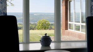 A view from a window overlooking a green landscape with a tree and a distant horizon.