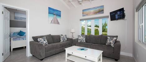 تلفزيون، كُتُب