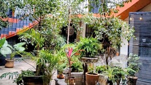 Un atrio de varios niveles con plantas en macetas y una fuente central.
