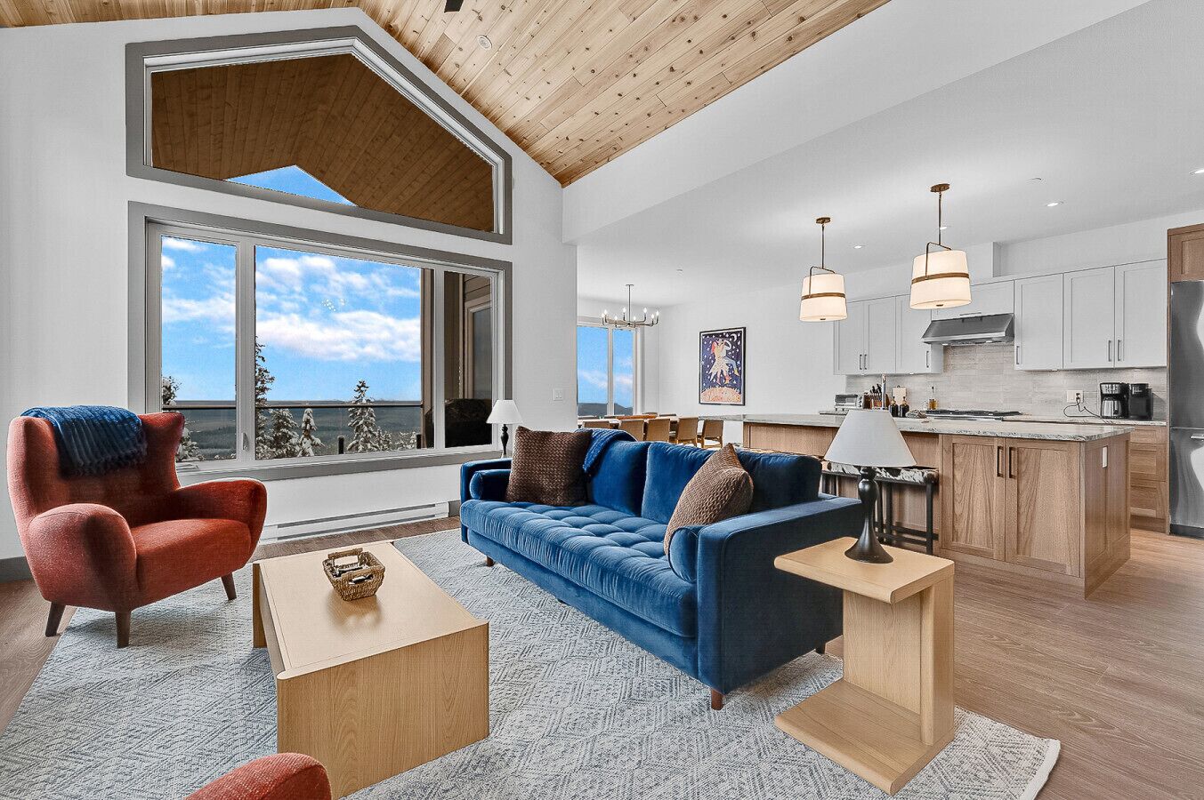 Télévision, cheminée, livres