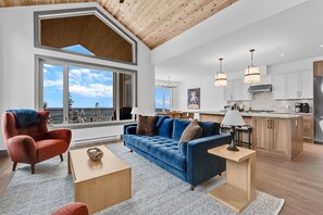 TV, fireplace, books