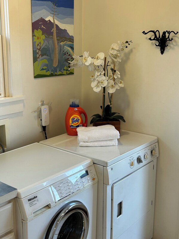 A laundry area with a front-loading washing machine, a stacked dryer, a bottle of Tide detergent, a potted orchid, and a wall-mounted light fixture. - Regal Craftsman, Quiet, Workable, Family Friendly, Walk to Coffee/Dining (Santa Barbara)