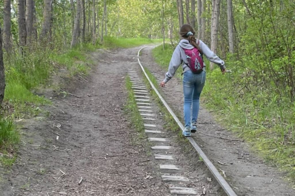 A person walking on a dirt path with wooden planks.