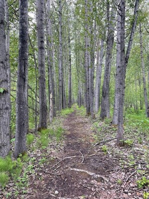 Miscellaneous - Werner Room 204, Hyland Hotel (Palmer)