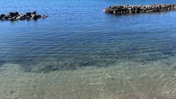 Beach nearby, sun loungers, beach towels