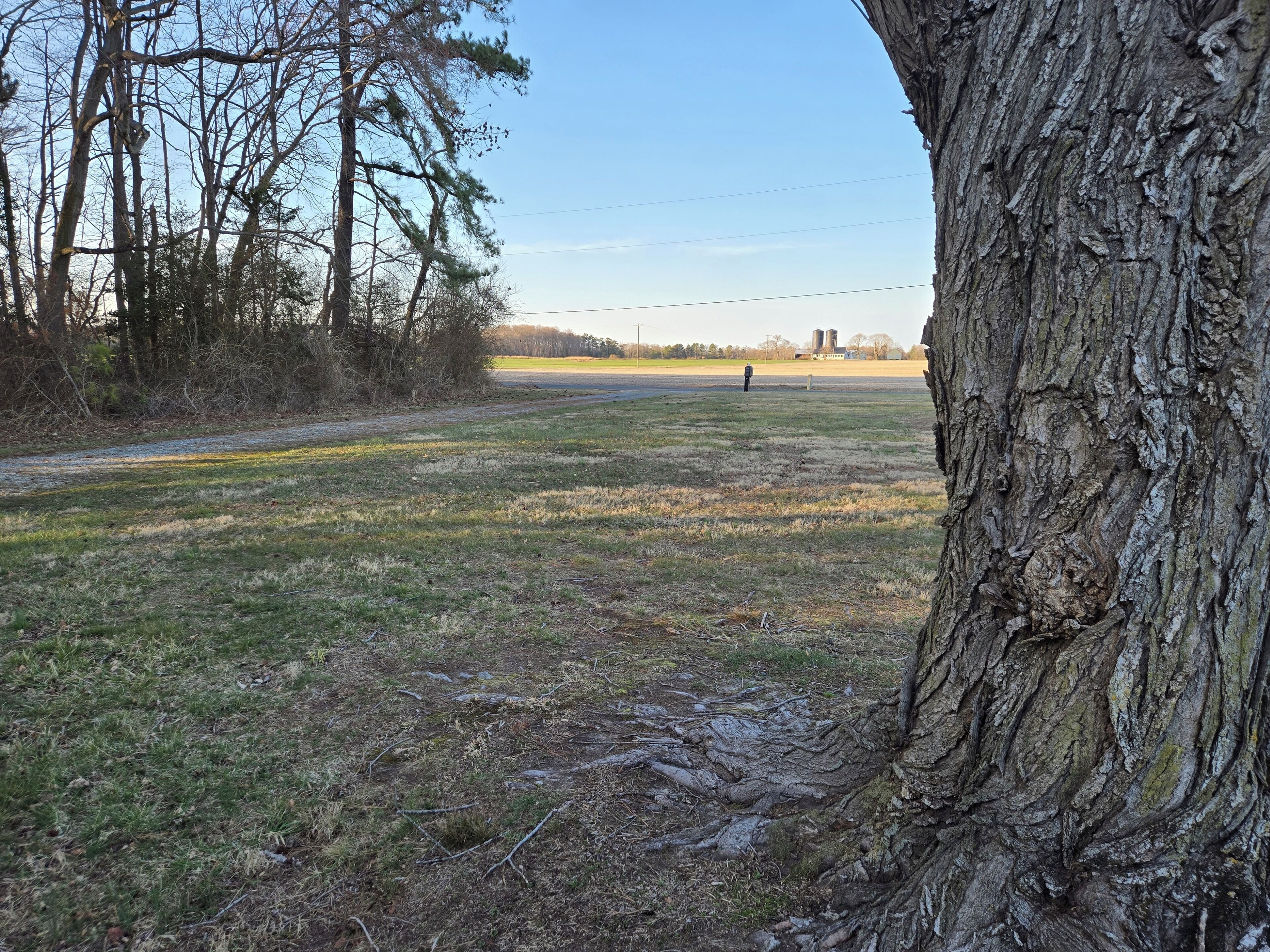 A rural landscape with a dirt path, a tree, and a distant building.