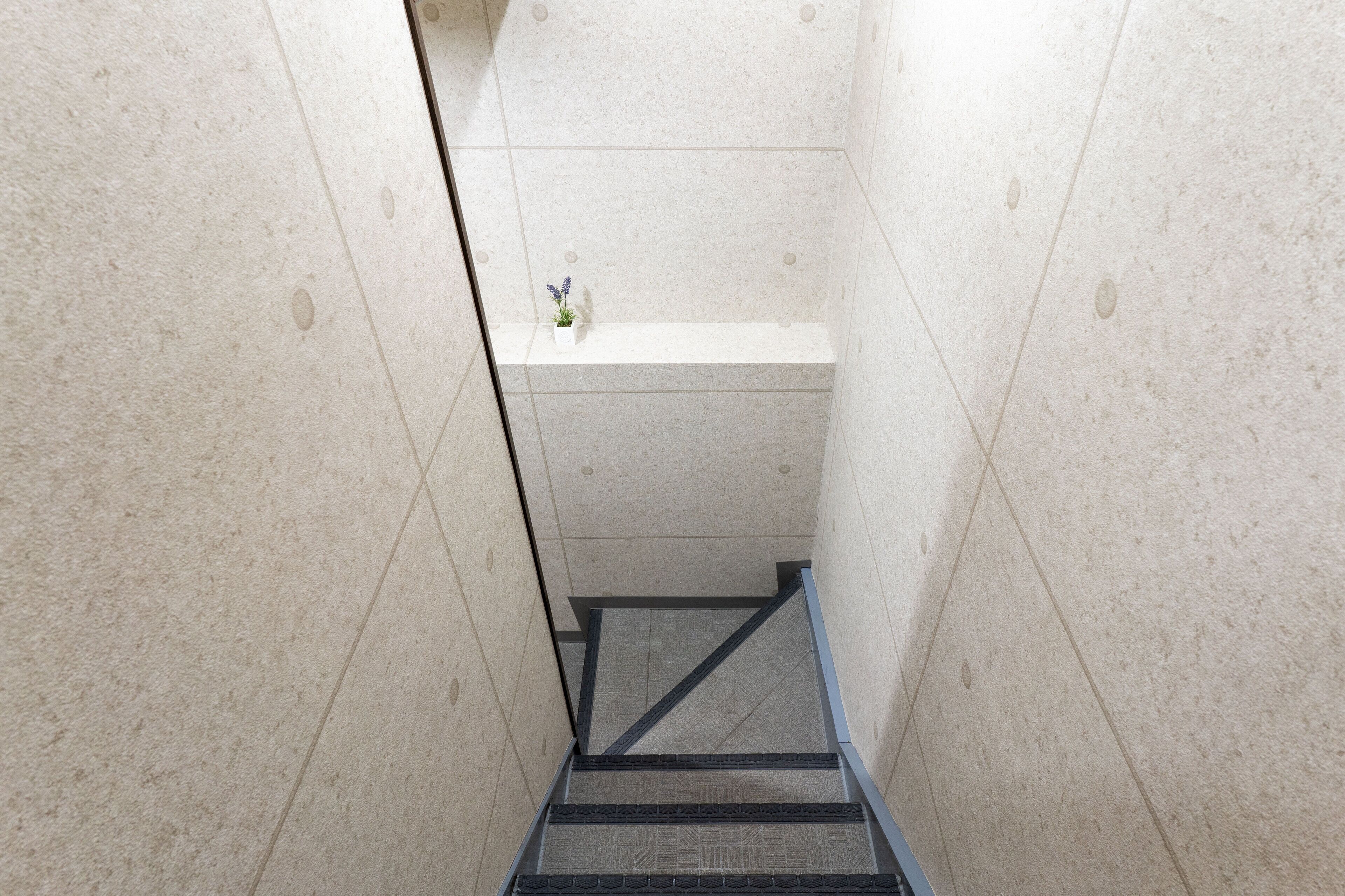 Nội thất lối vào