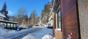 Property grounds - *Schnee* in Wildemann, beautiful apartment with terrace (Wildemann)