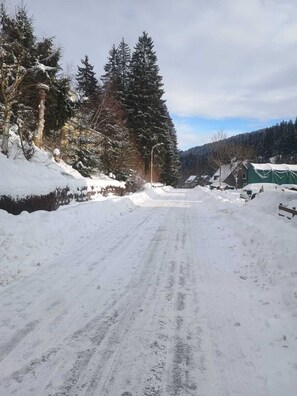 Miscellaneous - *Schnee* in Wildemann, beautiful apartment with terrace (Wildemann)