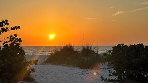 A beach scene with sand and sparse vegetation.
