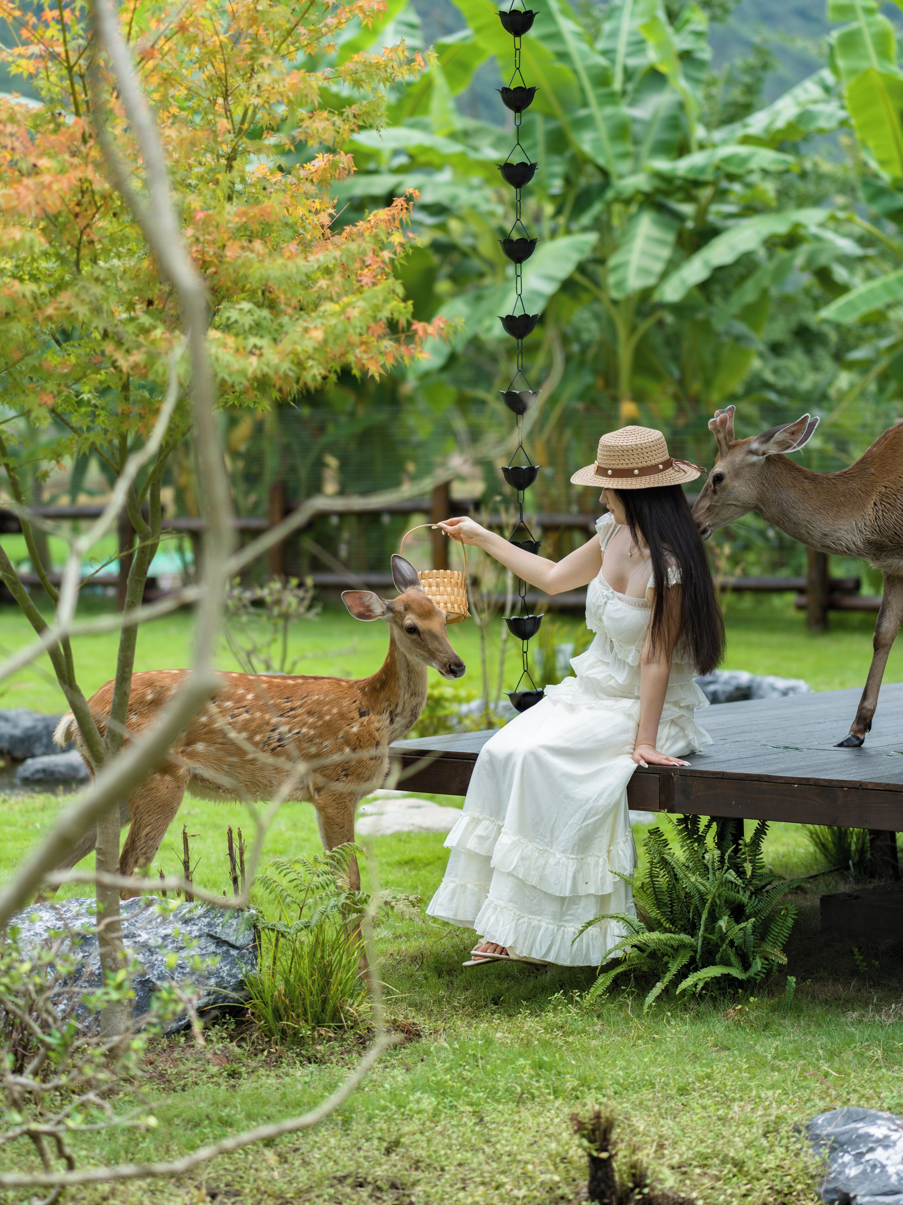 A woman in a white dress sitting on a wooden deck in a garden with ferns and a deer.