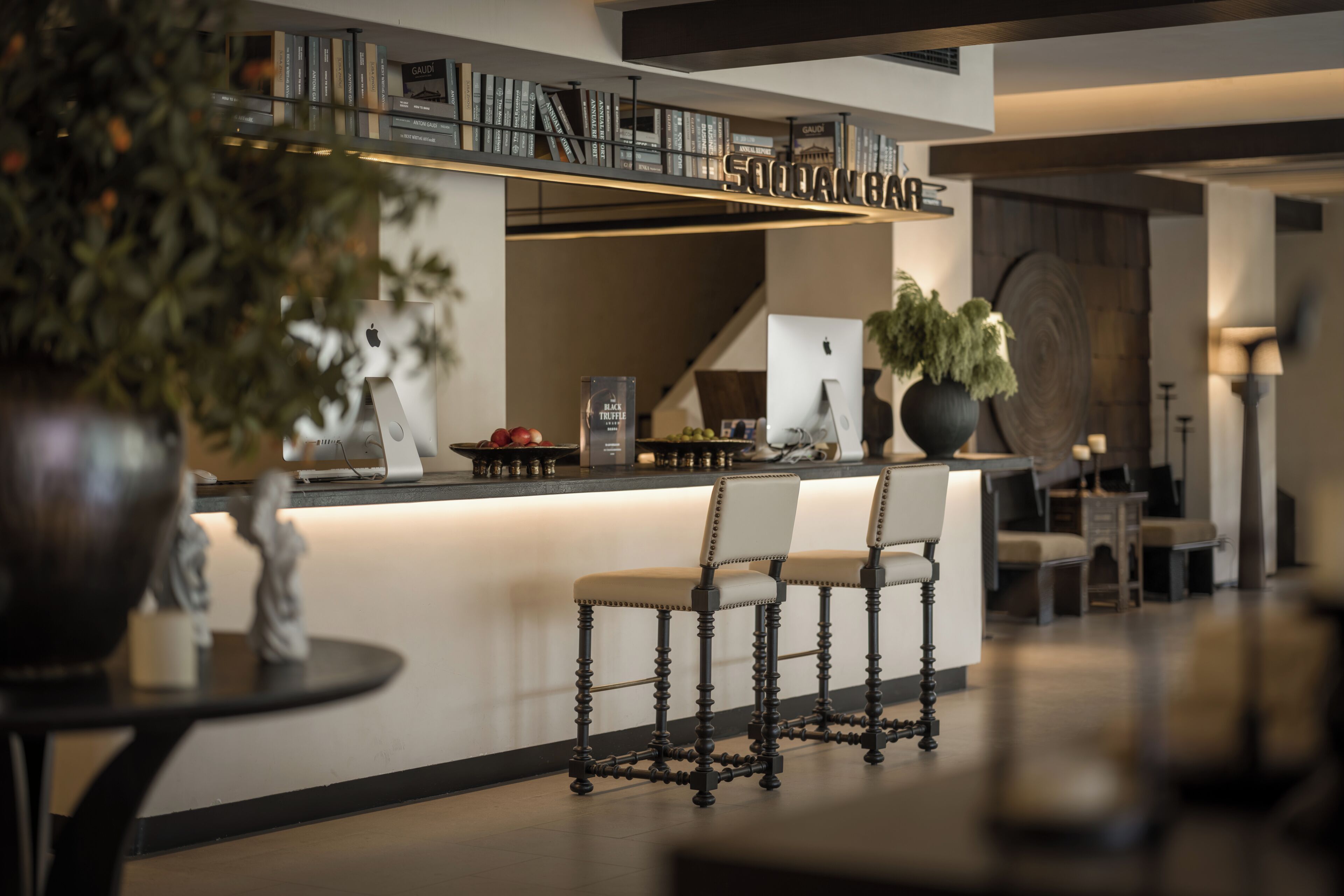 Eine moderne Bar mit Bücherregal, zwei Barhocker und einer großen Topfpflanze.