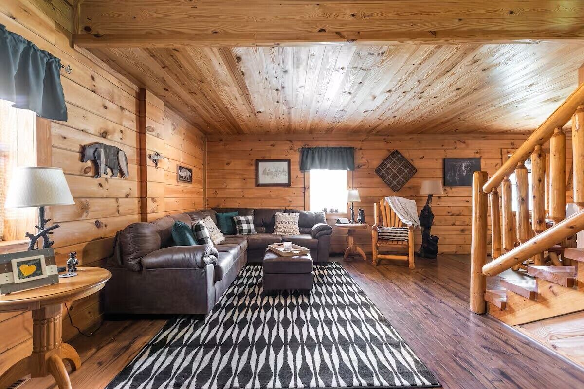 電視、壁爐、DVD 播放機