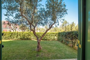 Ein Baum in einer gepflegten Grünanlage mit Hecke und einem Gebäude im Hintergrund.
