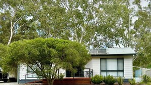 A modern house with a large tree in front, a solar panel on the roof, and a small patio with a table and chairs. - Among the Gums, Armagh, Clare Valley (Armagh)