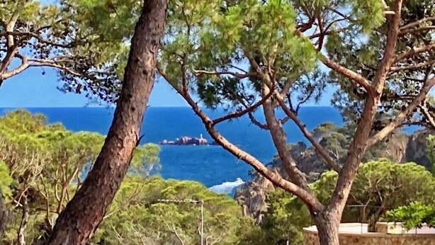 A coastal landscape with trees, a stone wall, and a view of the sea.