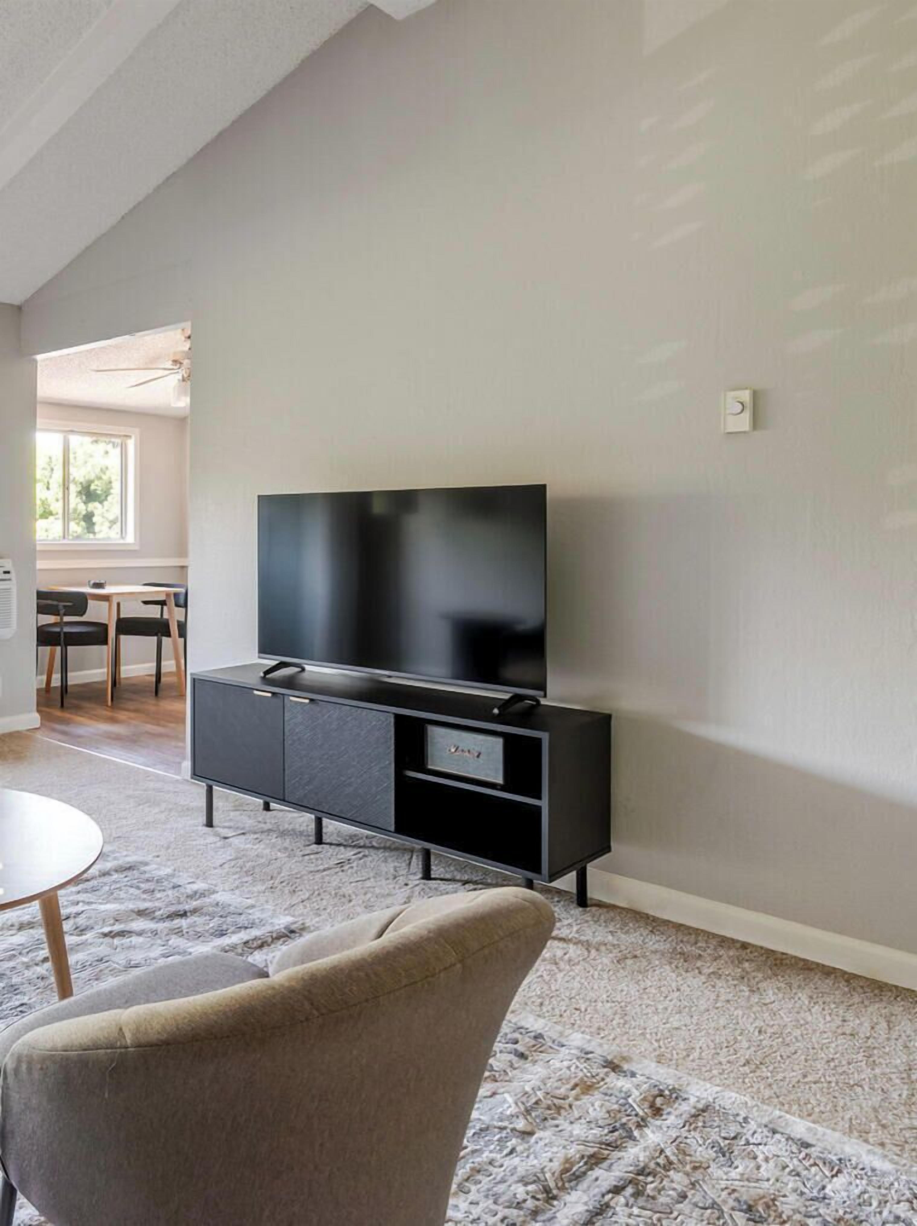 Televisión y estéreo 