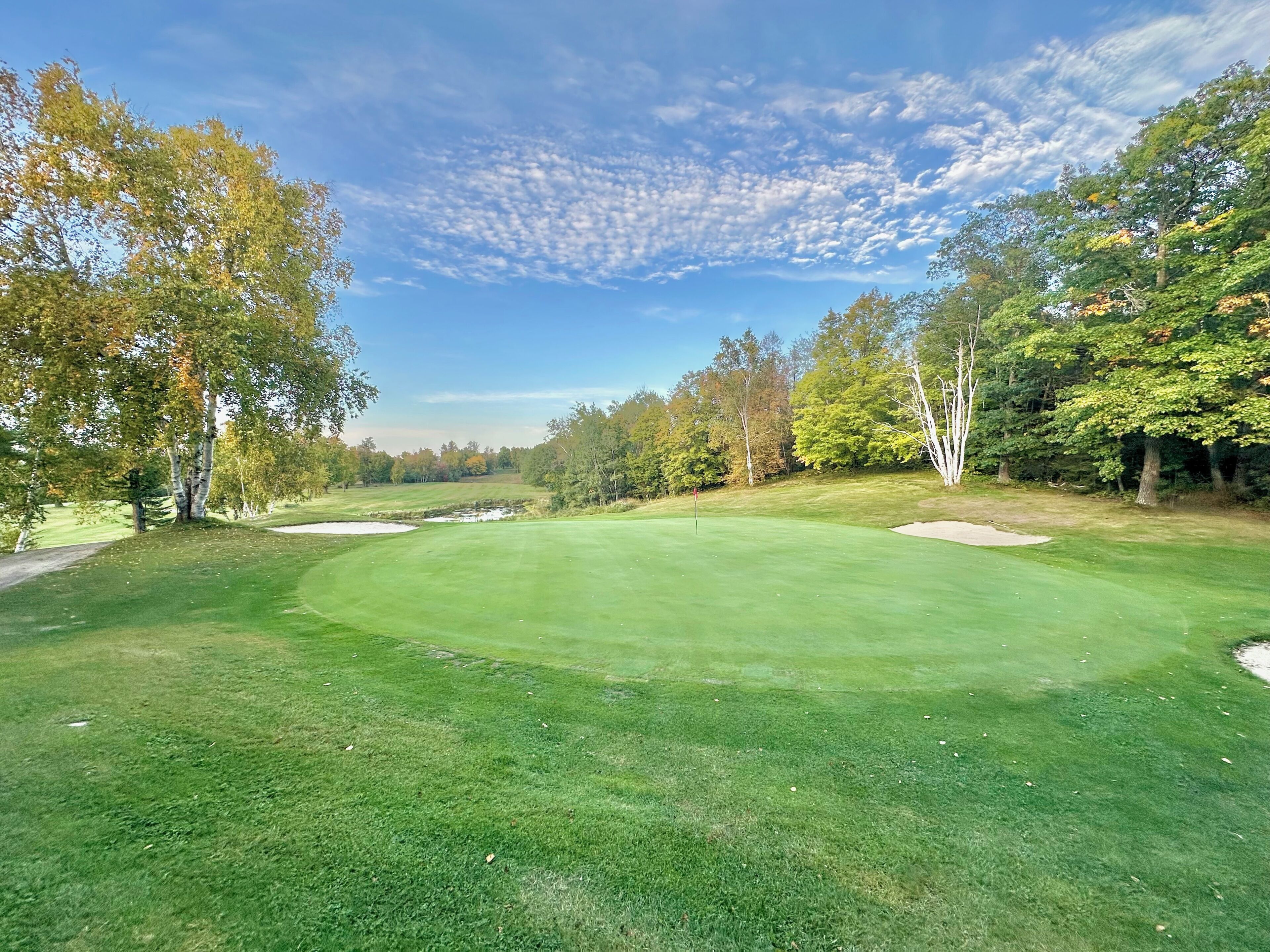 A golf course with a clear sky, trees, and a well-maintained green.