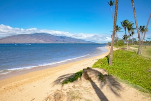 근처 해변, 백사장, 일광욕 의자, 비치 파라솔