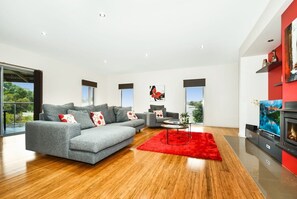 Smart TV, fireplace, DVD player, music library