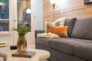 Smart TV, fireplace, books