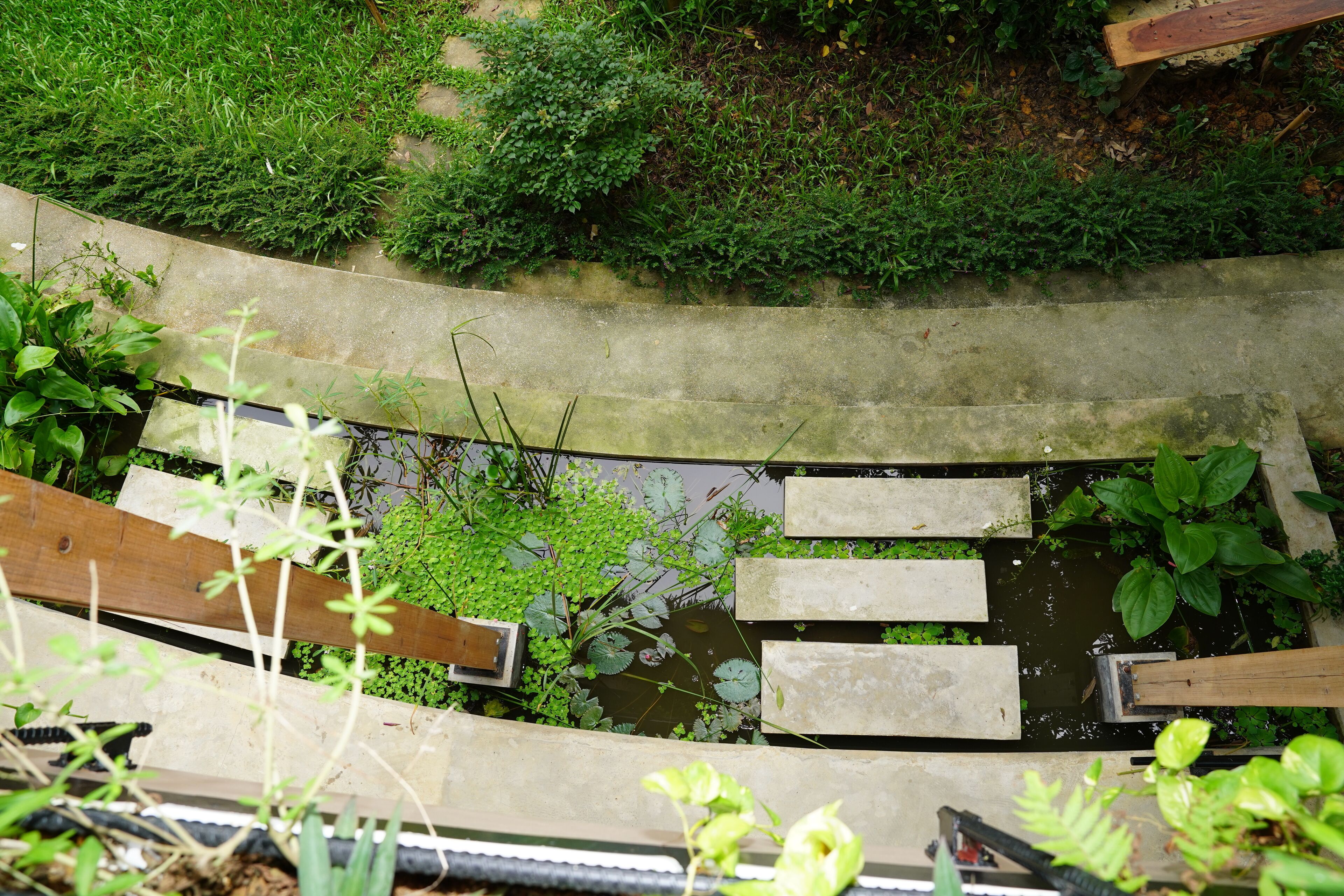 Un jardin avec un chemin en béton, des planches de bois et diverses plantes.