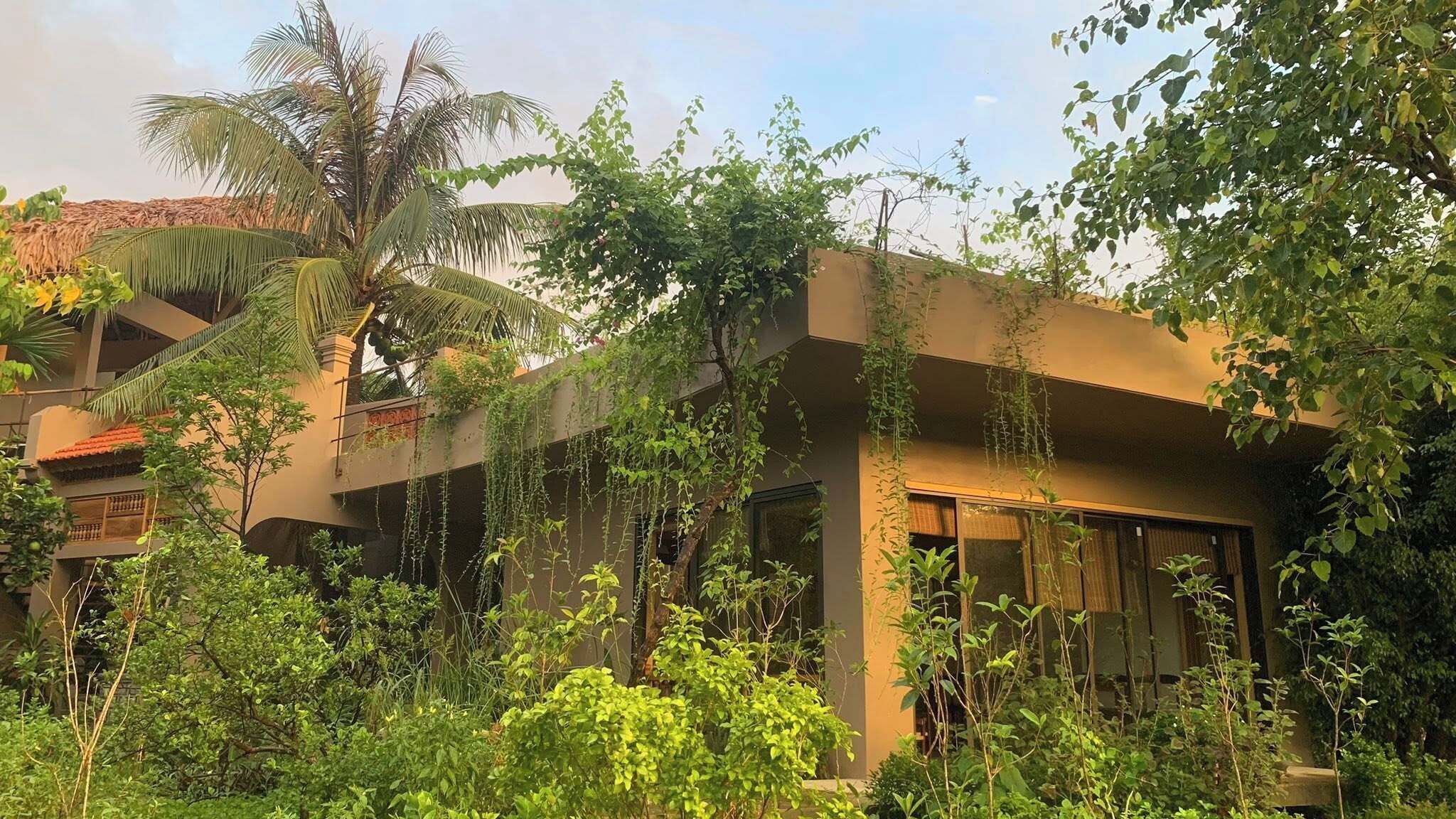 A modern building with multiple balconies, surrounded by lush greenery and palm trees.