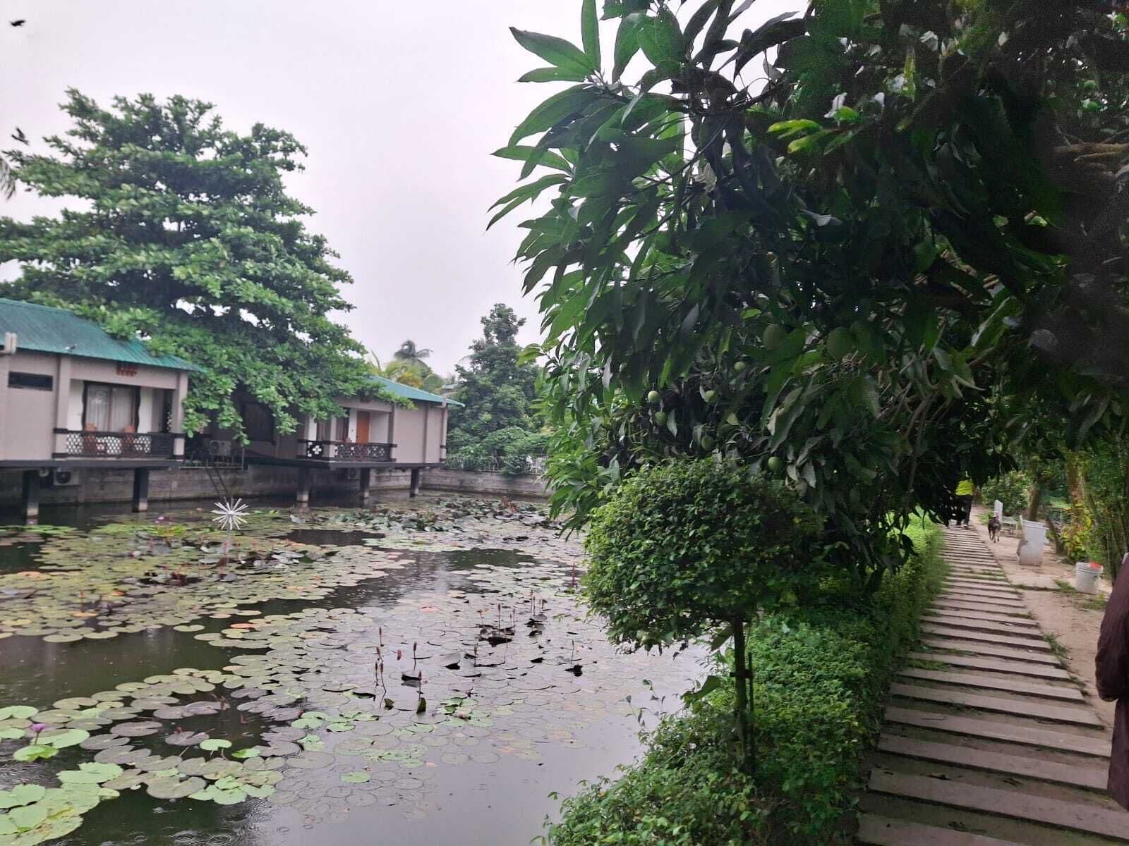 A serene riverside scene with a traditional building, a wooden walkway, and lush greenery.