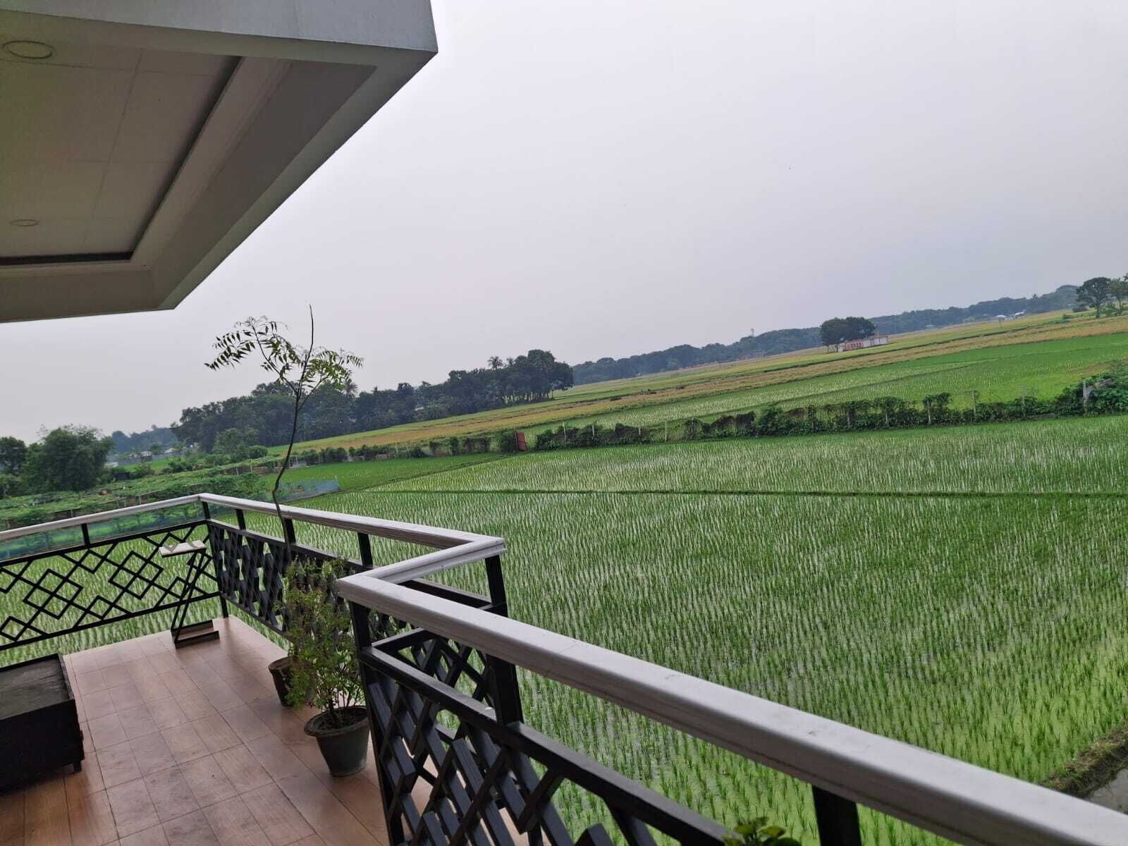 A balcony with a view of a green field, a potted plant, and a metal railing.
