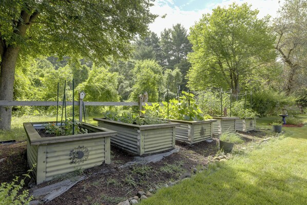 A garden with raised beds and a wooden fence.