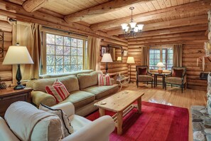 TV, fireplace, books