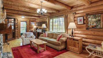 TV, fireplace, books