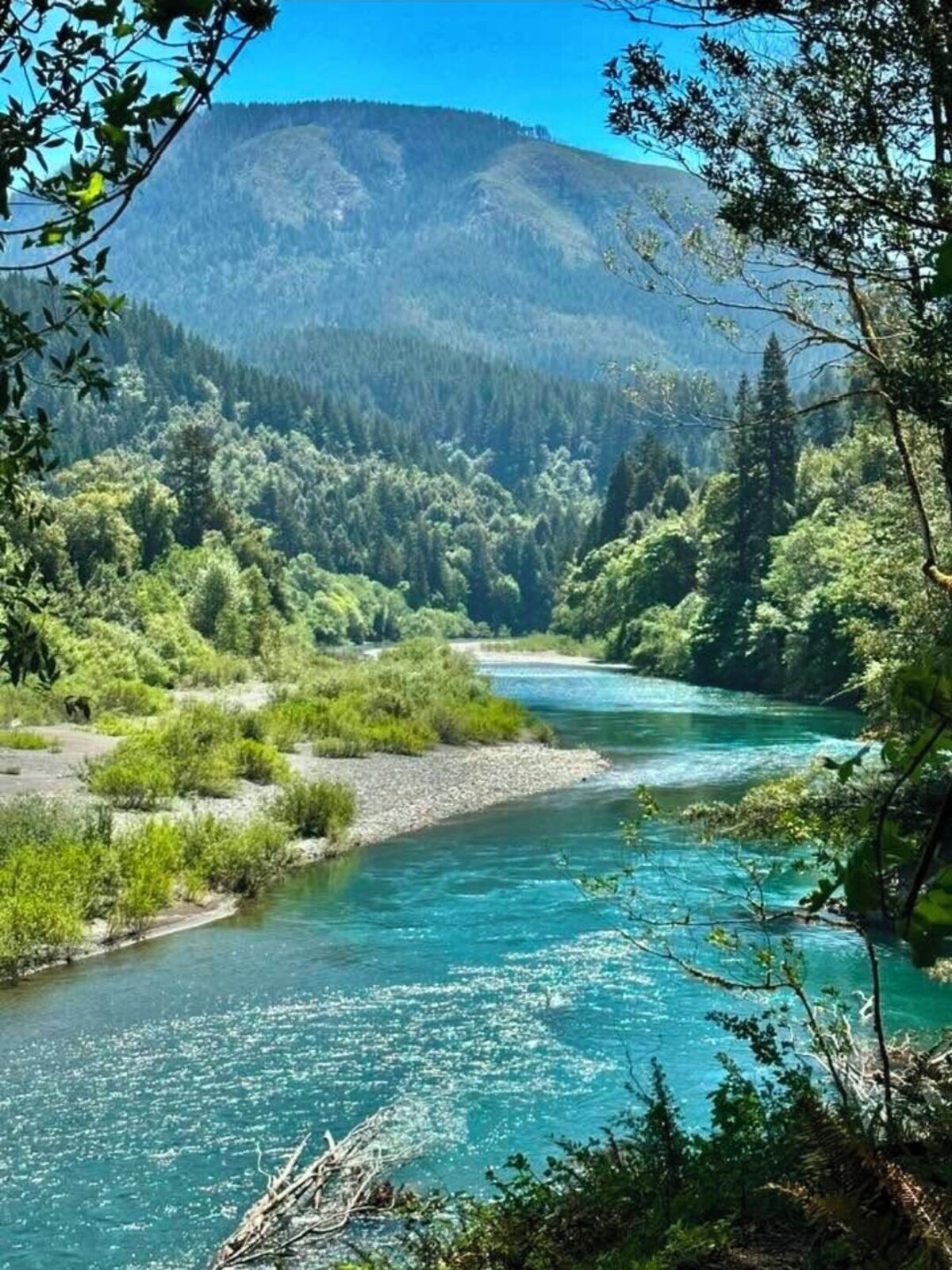 Værtens profilbillede