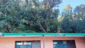 Un edificio con due porte, rispettivamente numerate 103 e 104, e due finestre. Sono presenti sedie in vimini all'esterno e una piccola pianta in vaso vicino all'ingresso.