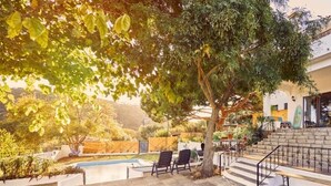 Un espace aménagé au bord de la piscine, avec des chaises longues, un escalier et un arbre qui offre de l’ombre.
