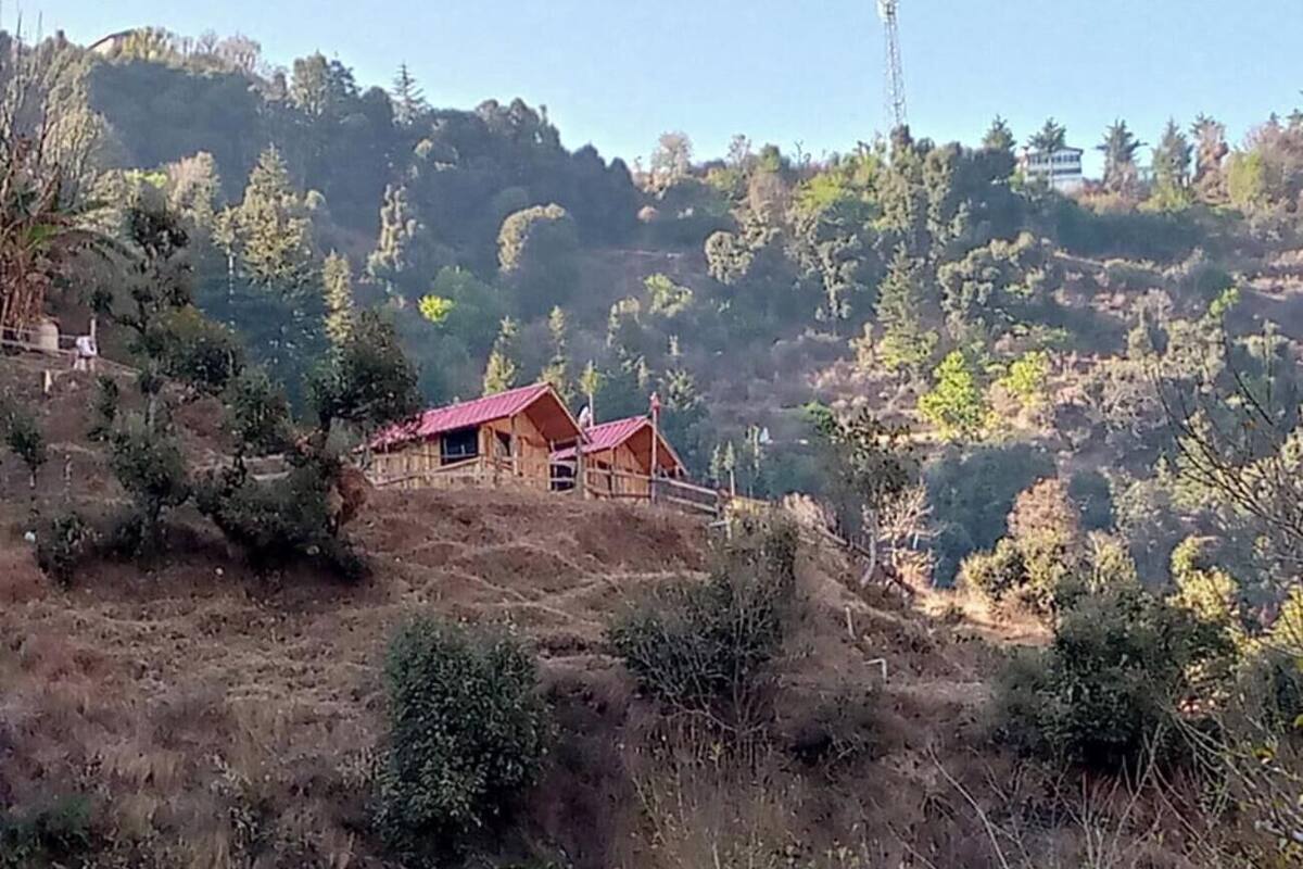 Una cabaña de madera con techo rojo sobre una ladera, rodeada de árboles y vegetación.