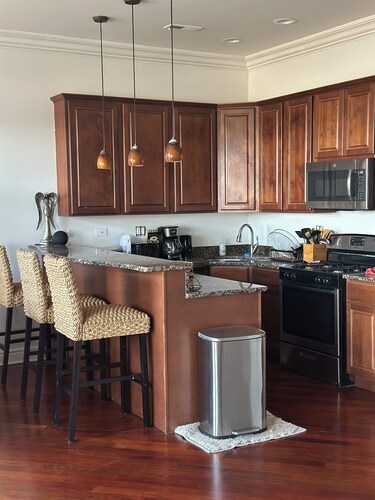 Beautiful condo with elevator right into your unit in North Kenwood Hyde Park.