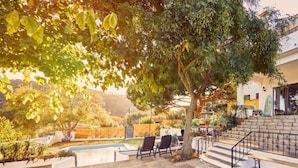 Zona junto a la piscina con sillones de descanso, una escalera y un árbol que proporciona sombra.