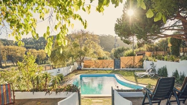 Un patio trasero con piscina, rodeado por un muro blanco y diversas plantas.